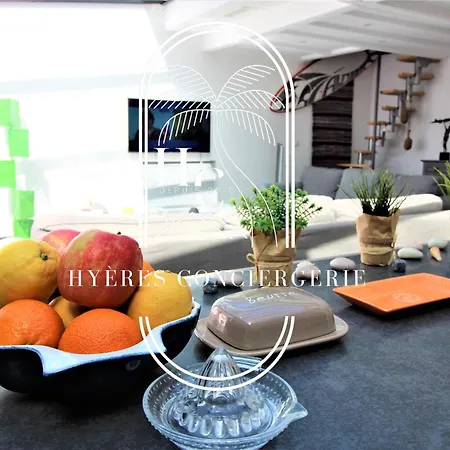 Maison Sur L'eau-hyeres-almanarre-parkings Clim Wifi By Hc
